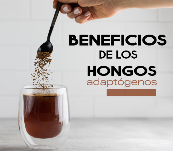 Beneficios de los hongos adaptógenos